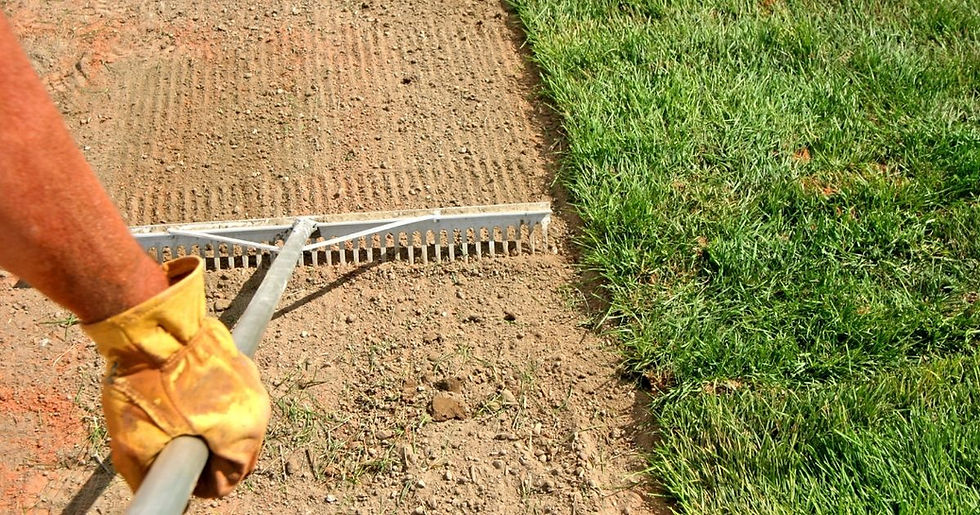 How to lay sod in Texas