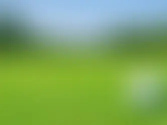 Grass for Golf Courses in North Texas