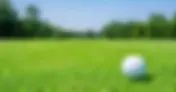 Grass for Golf Courses in North Texas
