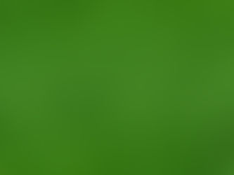 Pros and Cons of Bermuda Grass: Is It Right for Your Texas Lawn?