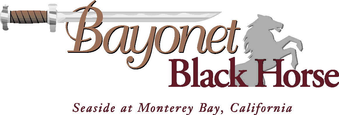 Bayonte Black Horse.gif