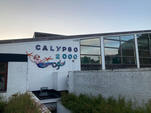 Dancing in the Dawn - Piscine Calypso 2000 (#698)