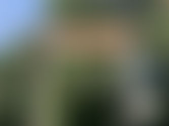 Negative Splitting my 1001 Pools "Race" (#751)