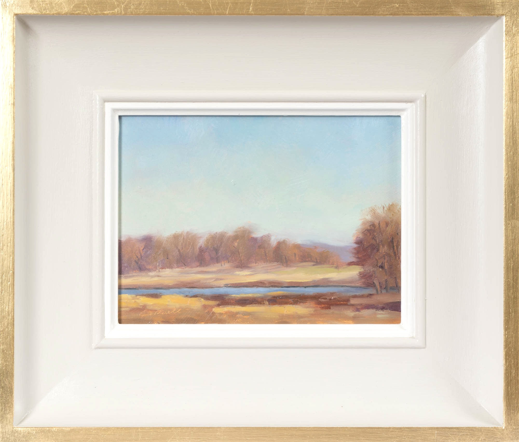 Lower Pond, Richmond