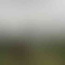 a pochade box on tripod with distant fields shrouded in rain