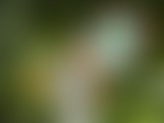 HOC 2015 Spirit Week: Khristina Blajkevitch falling in love with tennis … all over again