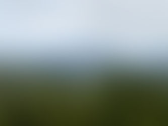 Тофіно – одне з безлічі місць куди можна поїхати з Ванкуверу на вихідні