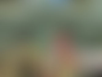 Minister Nicholson Announces Delivery of Mobile Field Hospital to Ukraine