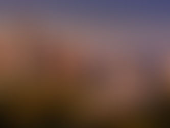 Vancouver to Seattle: 10 Reasons Not to Take Your Car