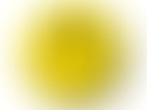 Цитати абітурієнтів-випускників з творів на тестуванні з української мови та літератури