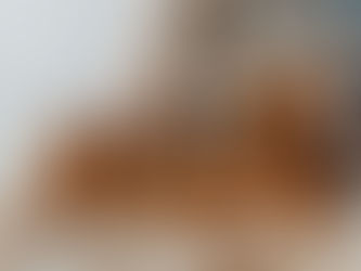 Adaptarea la gradinita