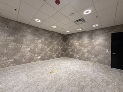 ViaPhoton - Naperville, IL