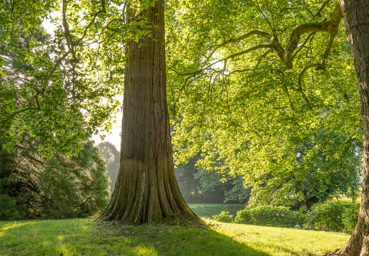 Photograph by Charles Acut for WOW Riviera. Professional Photography in the South of France.