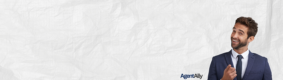 Agent Ally Website - Did you know Banner.png