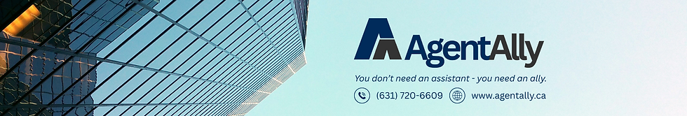 Website Banner 2.png