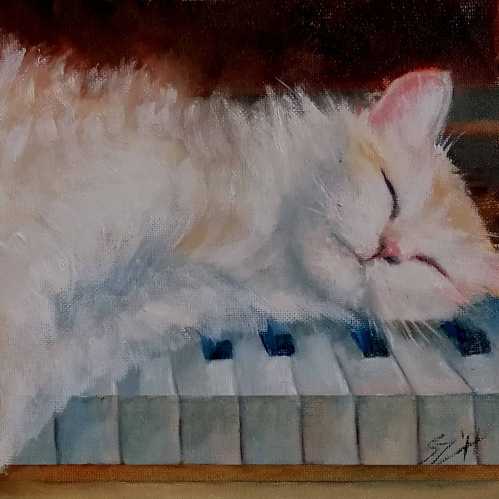 The Pianist Cat