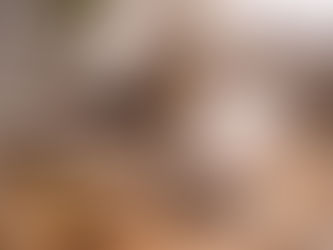 Senior-Katze ruht altersgerechte Pflege und Ernährung älterer Katzen