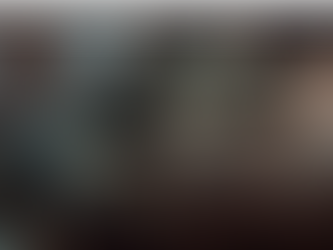 Katze kratzt am Sofa und beschädigt Polster – typisches Kratzverhalten bei Katzen