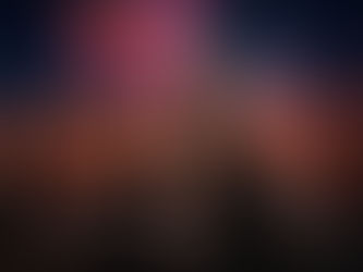 Explosive Angst – Feuerwerk für unsere Hunde und Katzen