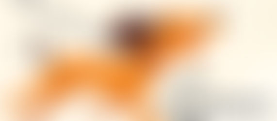 Illustration zur Leinenaggression bei Hunden: Hund zieht bellend an gespannter Leine – Verhaltenserklärung für Hundehalter:innen im Blog