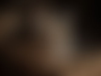 Katzenbetreuung Bern – professionelle Ferienbetreuung durch Tiersitting-Service