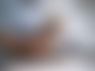 ältere katze beim tierarzt