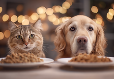 Futterberatung Katze und Hund in Bern