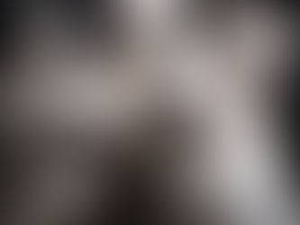 Katzen miauen und fauchen – verschiedene Lautäusserungen der Katzensprache im Überblick