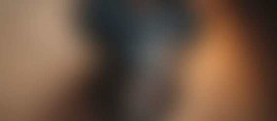 Junger Hund mit wachem Blick – Symbolbild für die emotionale und hormonelle Entwicklungsphase in der Pubertät von Hunden.