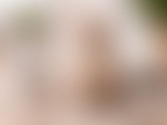 Katze sitzt vor sauberer Katzentoilette mit Katzenstreu – richtige Hygiene und Wahl des Katzenstreus im Alltag