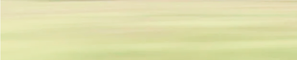 2.2S.png