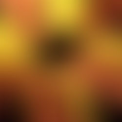 Shang Thai  Celebration Kind of Love