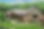 Charis Homes Custom Craftsman Ranch Home Front Exterior with landscaping.png
