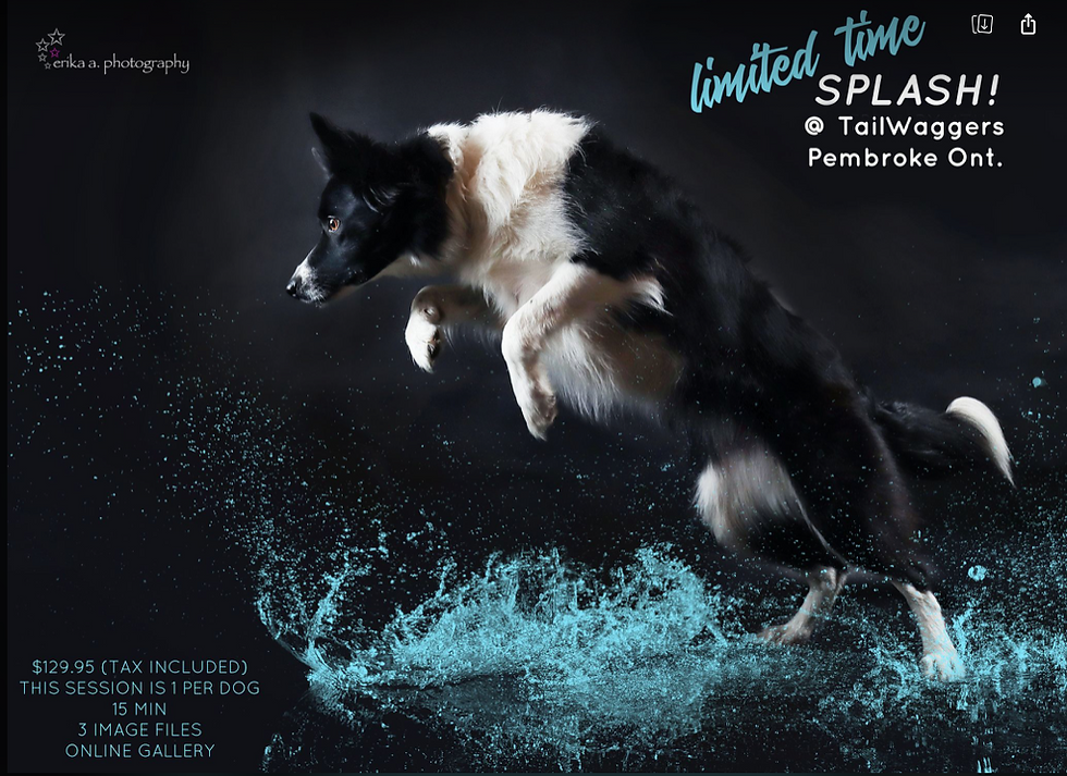 Splash Photo Shoot with Erika Anderson 