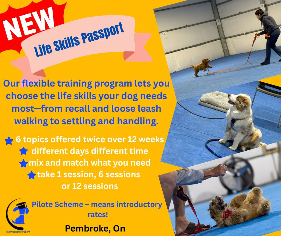 Life Skills Passport - Dogs & Puppies aged +16 weeks