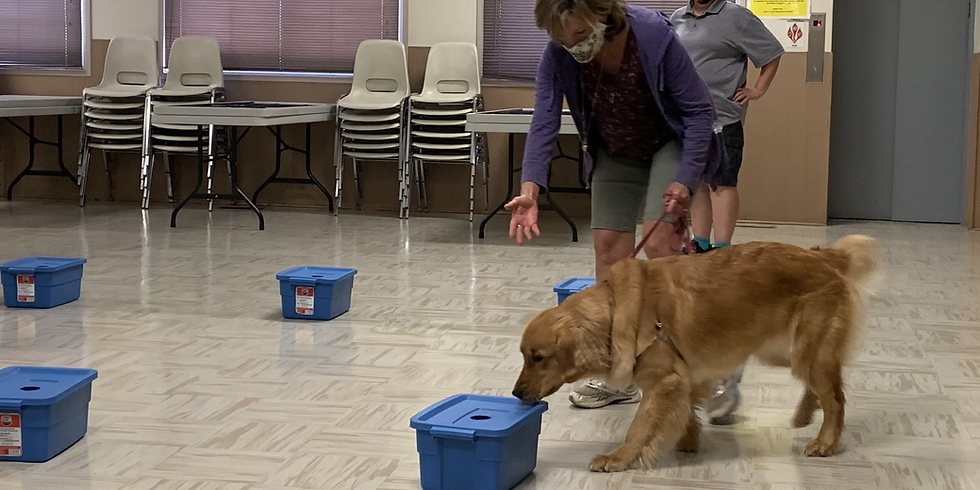 Drop In Session: Scent Detection - Hides, Games and Handler Skills