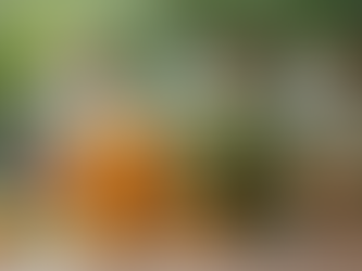 Exploring the Benefits of kingnature.us