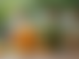 Exploring the Benefits of kingnature.us