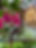IMG_2736.jpeg