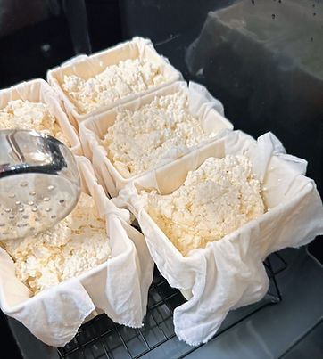 Cheese & Beer