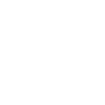 Icon (2).png