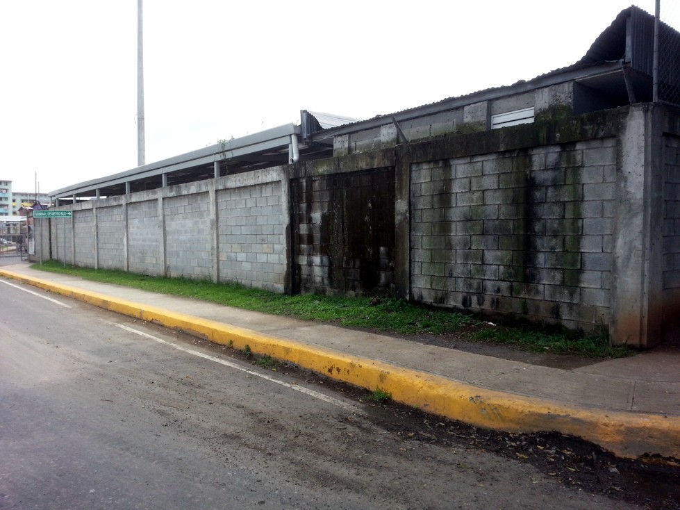 pinturas impermeabilizaciones masivas 1.jpg