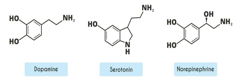 struktur hormon/kimia cinta (dopamine, serotonin, norepinephrine).