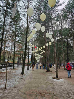 viber_image_2024-01-26_09-19-06-199