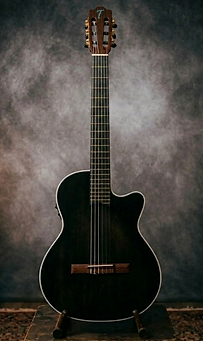 Veritas signature guitar handcrafted by Timber Wood Guitars