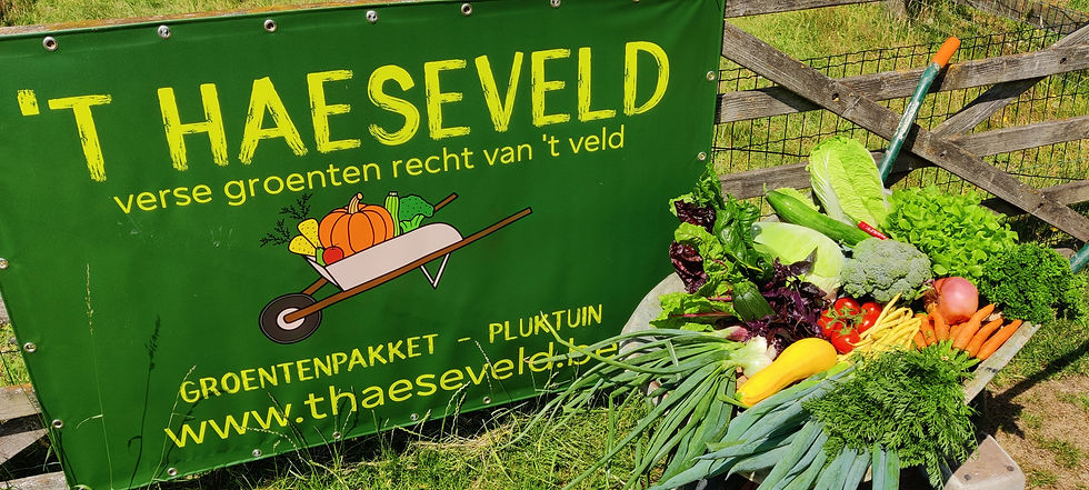 Thumbnail: Pluktuin