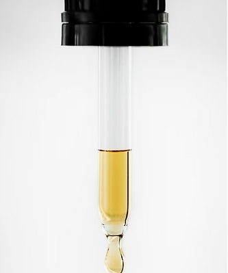 Captura de tela 2025-05-31 110946.png