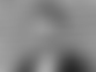 Message from the Executive Director: A Year In Review