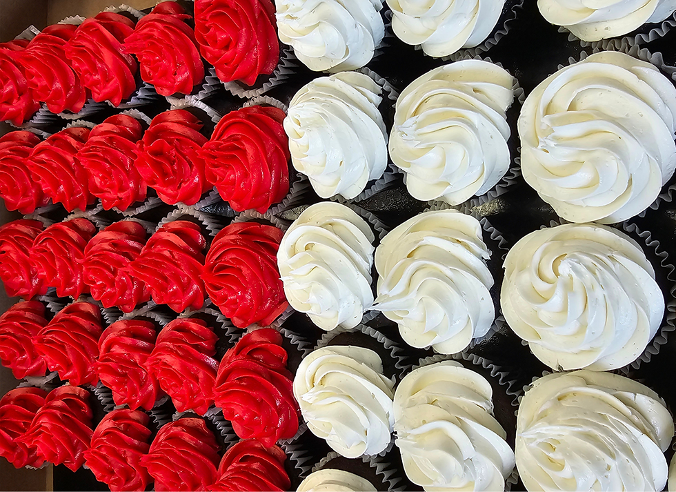 Chocolate cupcakes prepared for Canada Day celebrations with red and white frosting.