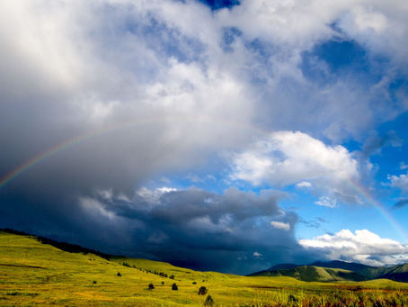 Real Estate Market Trends in Sandpoint, ID